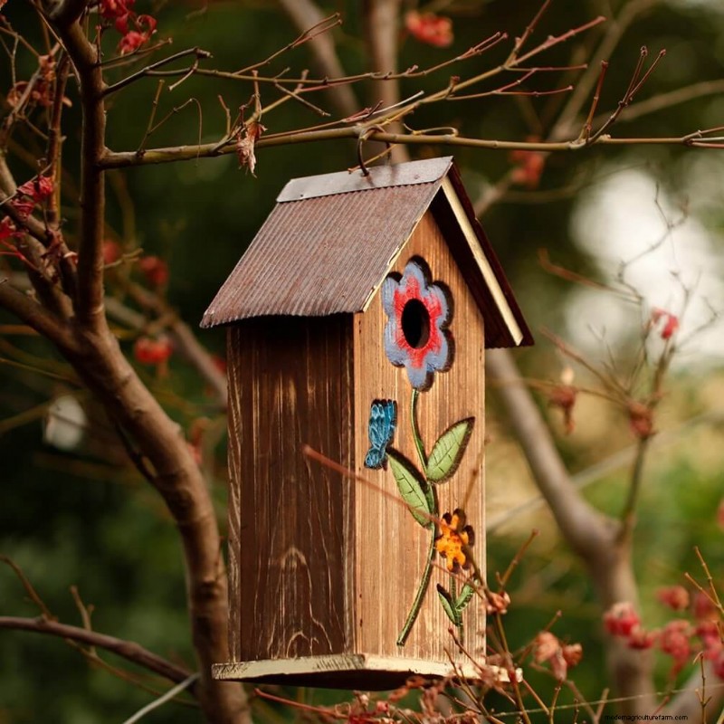 Beste vogelhuisjes:trek gevederde vrienden naar uw tuin 