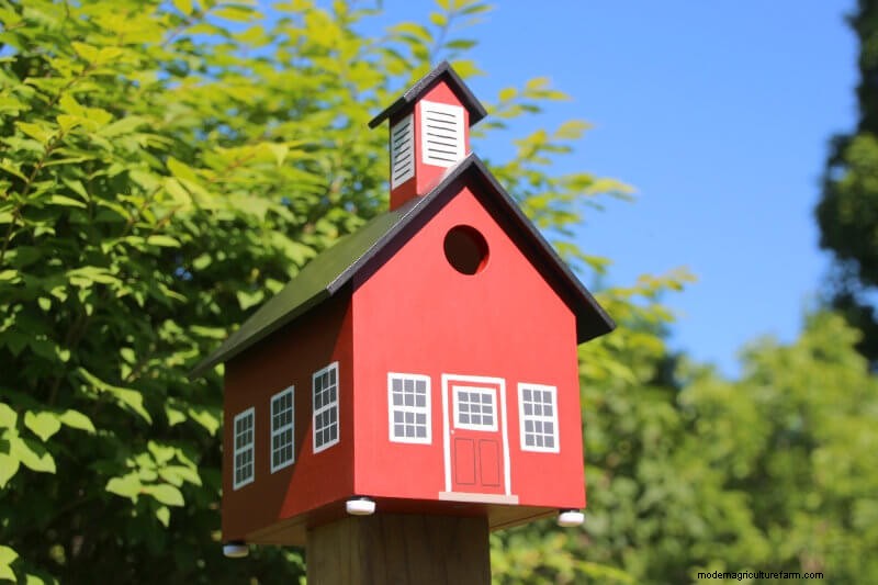 Beste vogelhuisjes:trek gevederde vrienden naar uw tuin 