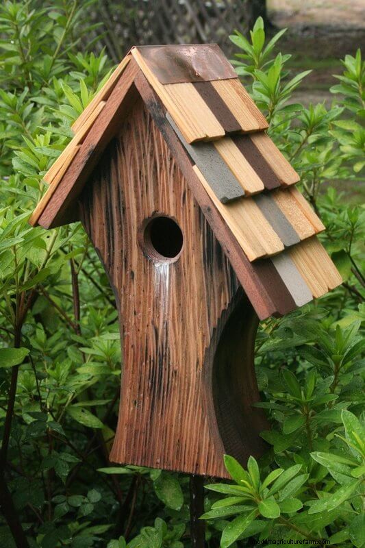 Beste vogelhuisjes:trek gevederde vrienden naar uw tuin 
