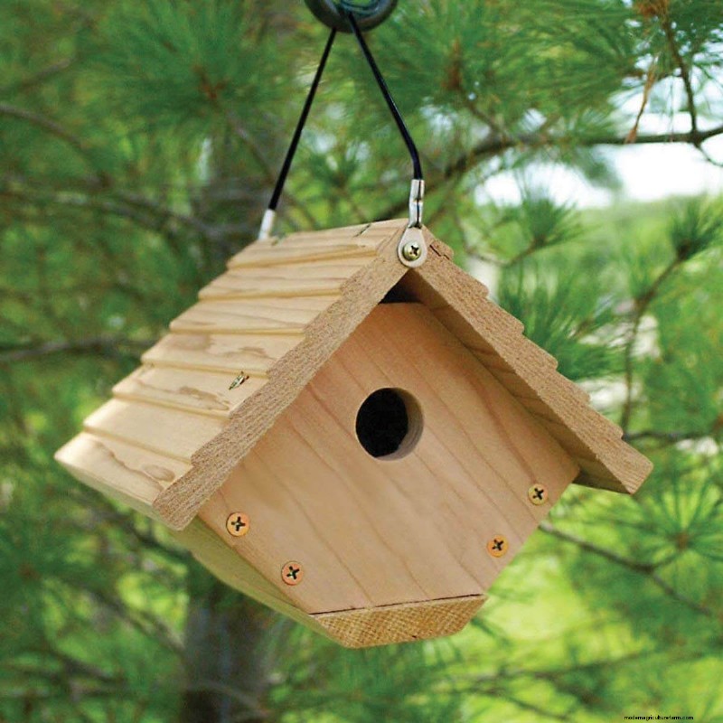 Beste vogelhuisjes:trek gevederde vrienden naar uw tuin 