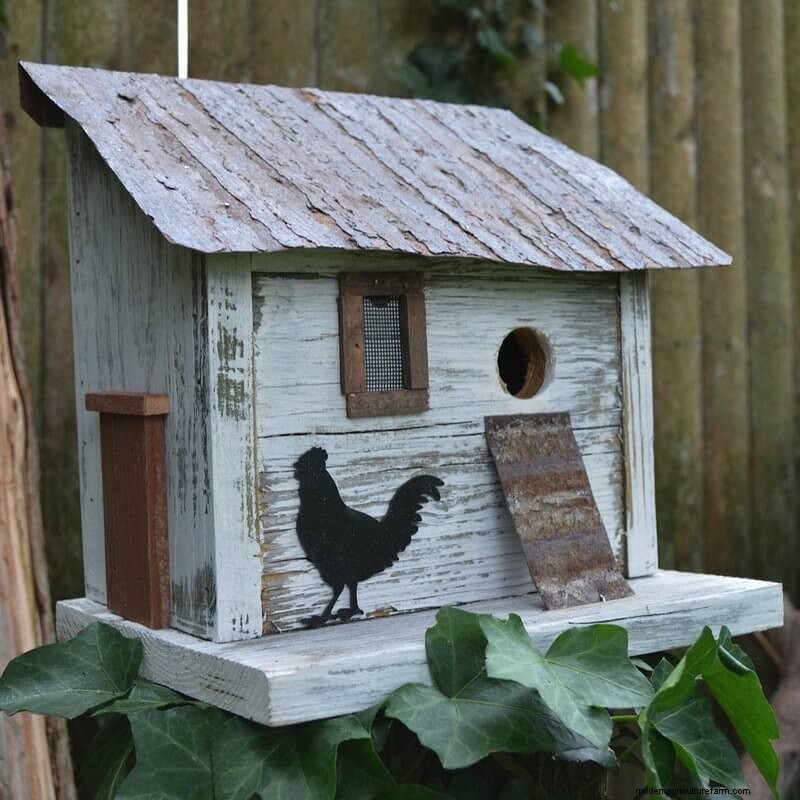 Beste vogelhuisjes:trek gevederde vrienden naar uw tuin 
