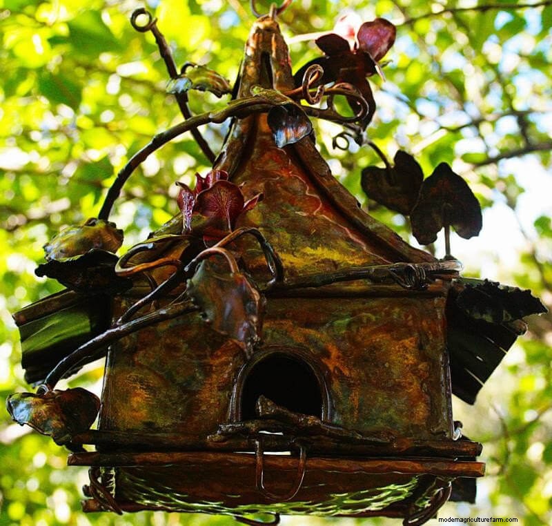 Beste vogelhuisjes:trek gevederde vrienden naar uw tuin 