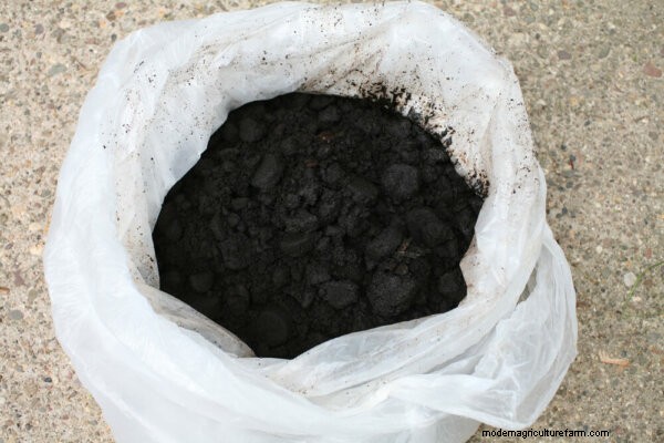 Gopher Control:effectieve methoden om uw tuin te beschermen 