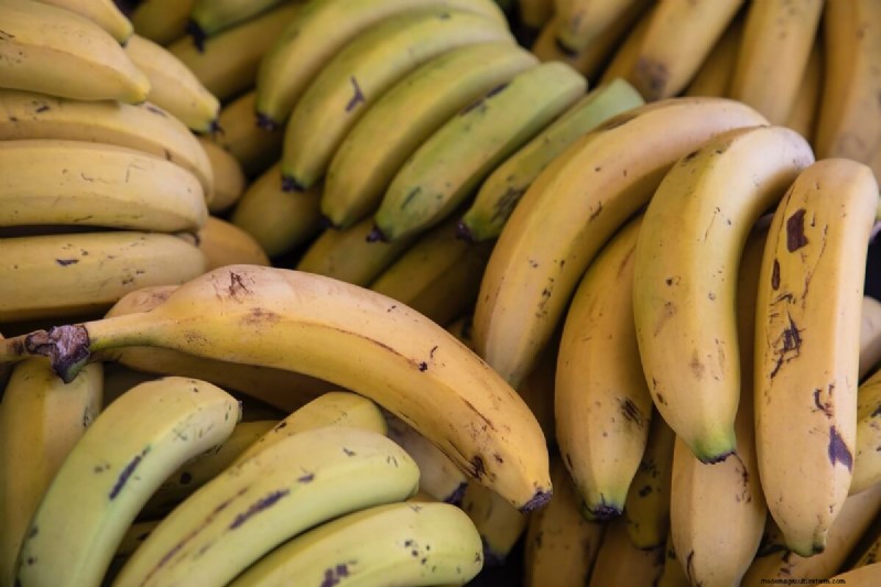 Eiervervangers voor legkippen:natuurlijke oplossingen en alternatieven 