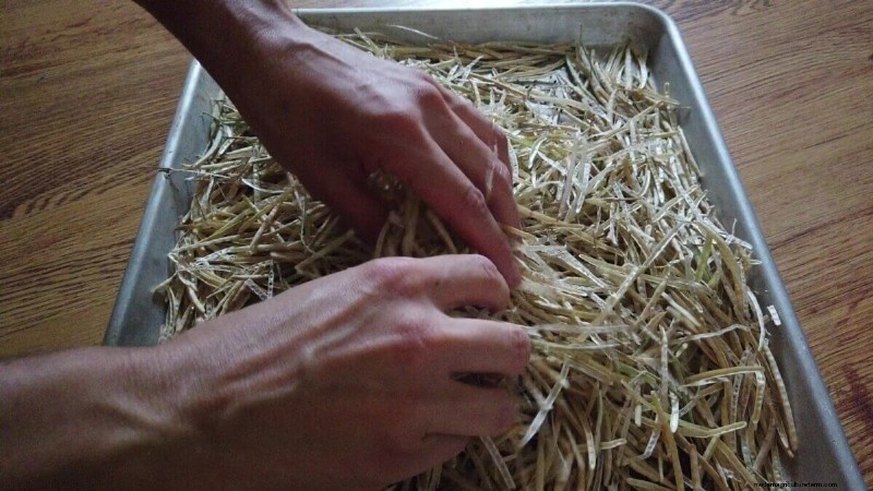 Gids voor zaadbesparing voor Brassica-groenten (kool, boerenkool en meer) 