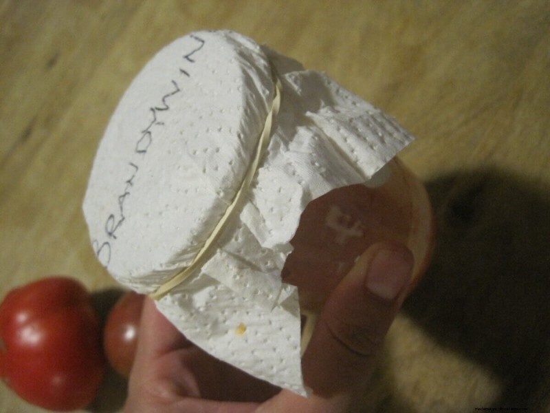 Tomatenzaadbesparing:een complete gids voor tuinders 