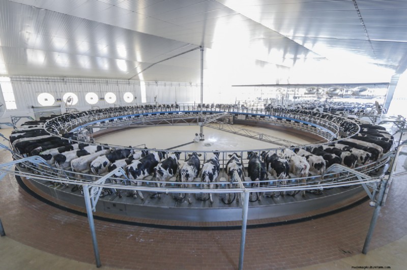 Schaalvergroting en efficiëntie:navigeren door de dynamiek van de grondstoffenmarkt
