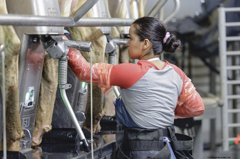 Rotary Parlor Startup:een gids voor succesvolle implementatie