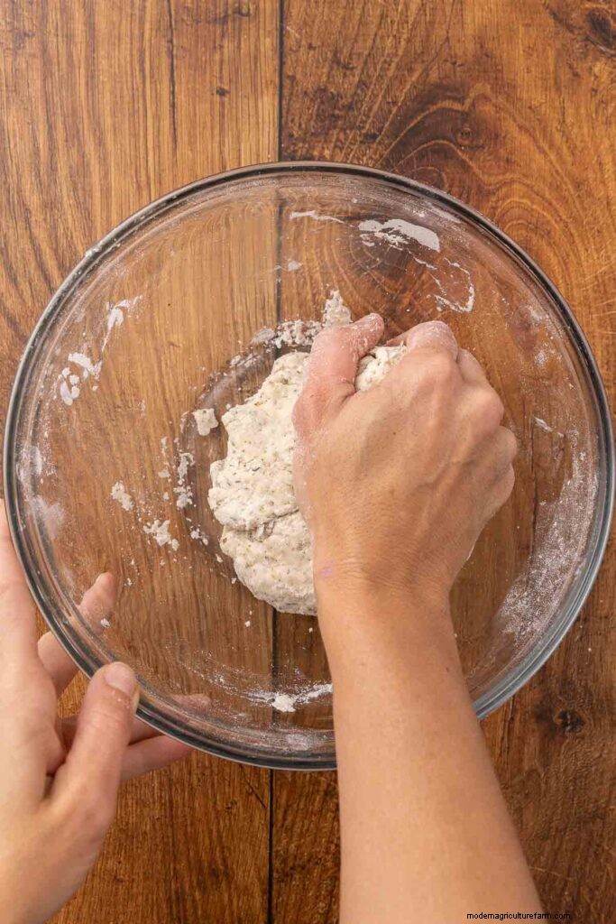 Klassieke zure room- en uiencrackers - eenvoudig zelfgemaakt recept 