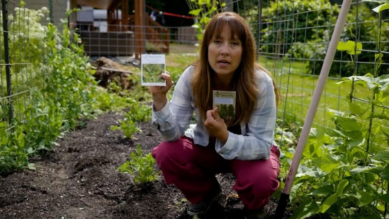 Opeenvolging planten en tussenteelt:verleng uw oogstseizoen 