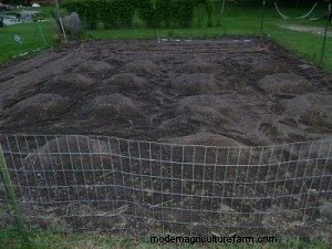 Grow Your Own:de voordelen en kosten van een moestuin thuis 