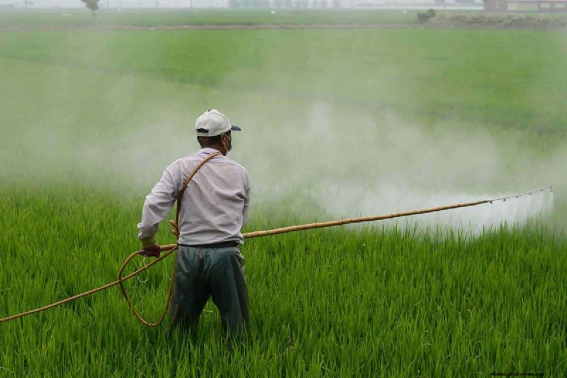 18+ voordelen en uitdagingen van biologische landbouw – de ultieme expertgids 
