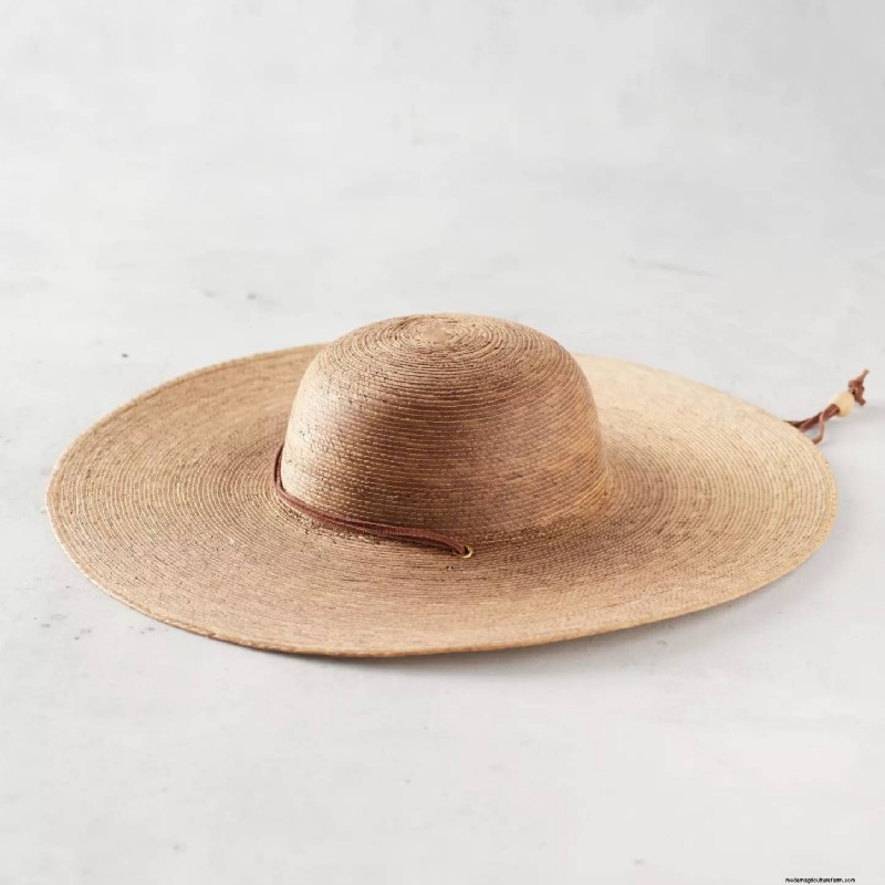 Entretien des pommiers de mai :5 tâches essentielles pour une récolte saine et abondante 