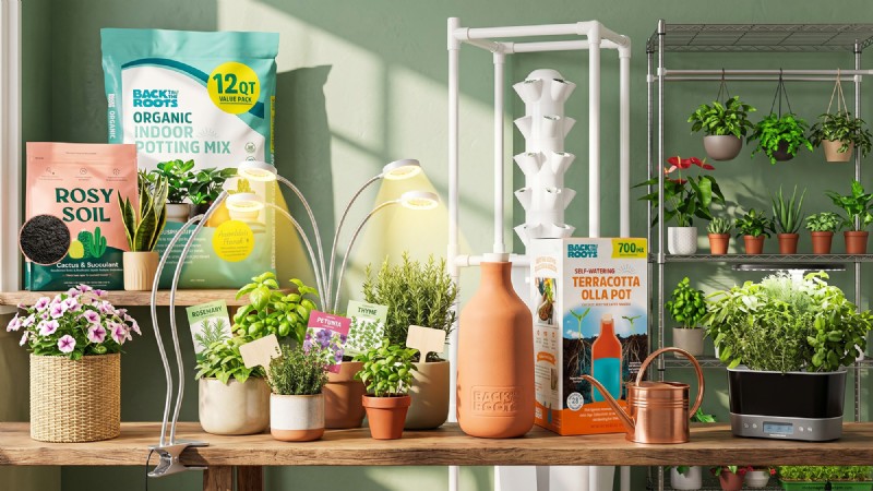 12 Penawaran Amazon Prime Day yang Disetujui Ahli untuk Tukang Kebun Dalam Ruangan 