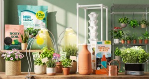 12 ofertas de Amazon Prime Day aprobadas por expertos para jardineros de interior 