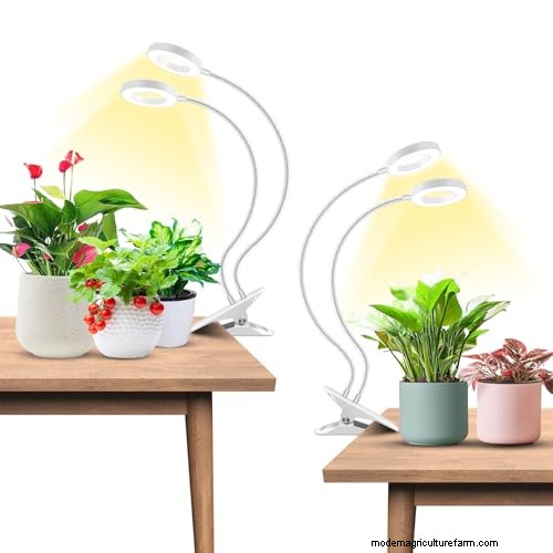 12 Penawaran Amazon Prime Day yang Disetujui Ahli untuk Tukang Kebun Dalam Ruangan 