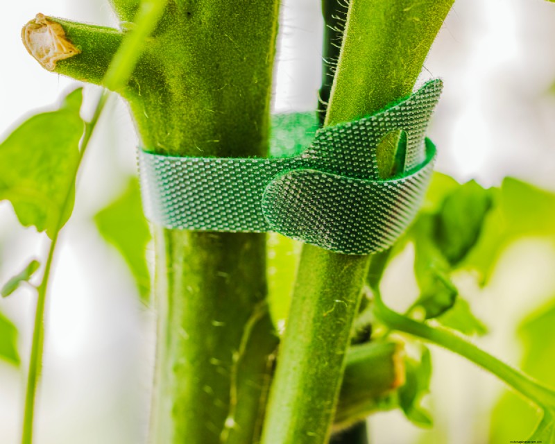Alat Berkebun Terbaik yang Menghemat Waktu untuk Mengurangi Stres, Meningkatkan Efisiensi, dan Menghemat Uang 
