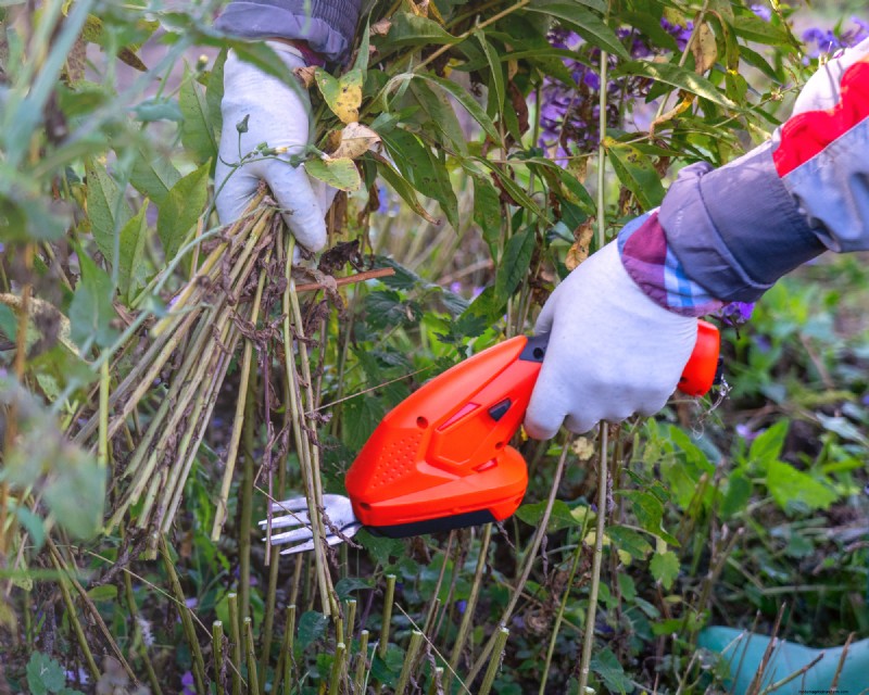 Alat Berkebun Terbaik yang Menghemat Waktu untuk Mengurangi Stres, Meningkatkan Efisiensi, dan Menghemat Uang 