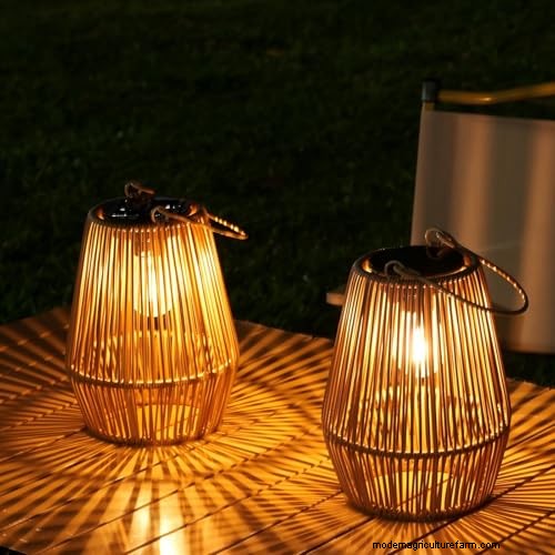 De definitieve gids voor zonnetuinverlichting:tips van experts en koopadvies 