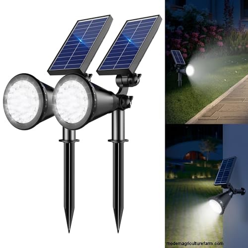 De definitieve gids voor zonnetuinverlichting:tips van experts en koopadvies 