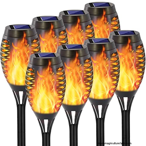 De definitieve gids voor zonnetuinverlichting:tips van experts en koopadvies 