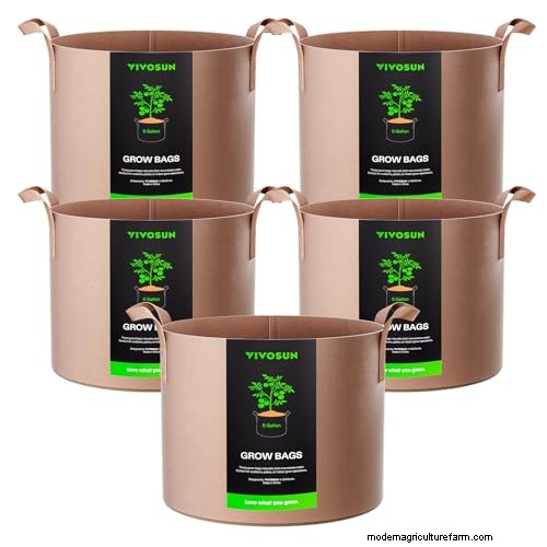 Amazon Prime Day:Berkebun Tahu Bagaimana Para Ahli Mengungkapkan Penawaran Alat Terbaik 