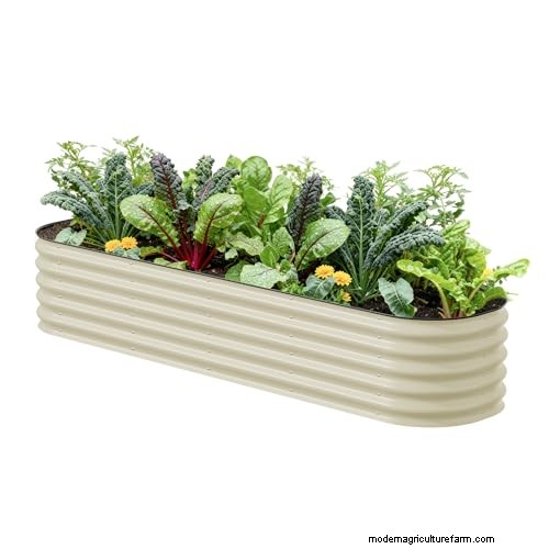 Amazon Prime Day:Berkebun Tahu Bagaimana Para Ahli Mengungkapkan Penawaran Alat Terbaik 