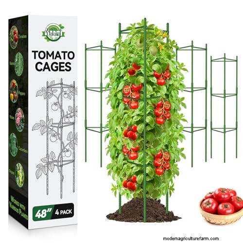 Amazon Prime Day:Berkebun Tahu Bagaimana Para Ahli Mengungkapkan Penawaran Alat Terbaik 