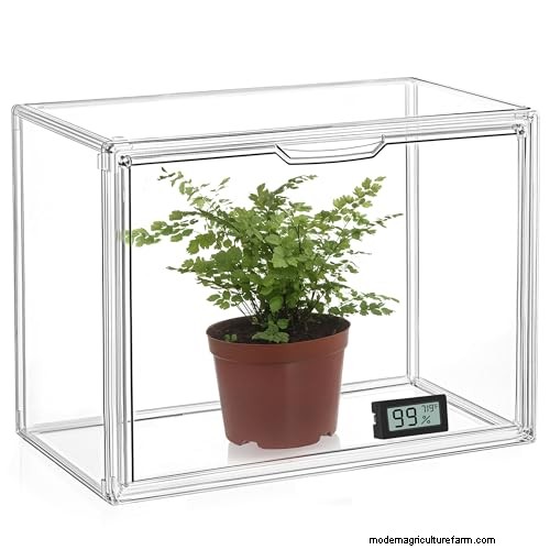 Amazon Prime Day:Berkebun Tahu Bagaimana Para Ahli Mengungkapkan Penawaran Alat Terbaik 