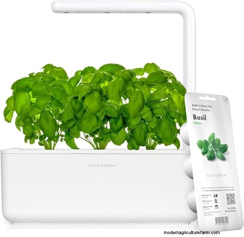 Amazon Prime Day:Berkebun Tahu Bagaimana Para Ahli Mengungkapkan Penawaran Alat Terbaik 