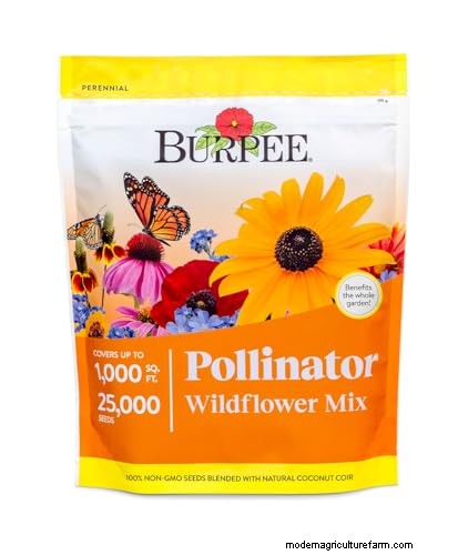 Amazon Prime Day:Berkebun Tahu Bagaimana Para Ahli Mengungkapkan Penawaran Alat Terbaik 