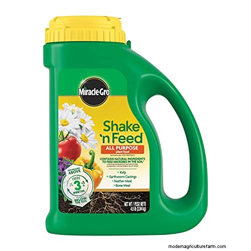 Amazon Prime Day:Berkebun Tahu Bagaimana Para Ahli Mengungkapkan Penawaran Alat Terbaik 