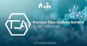 Aller Aqua lanceert TEA:een trace-element-geoptimaliseerd voer voor vis en garnalen 