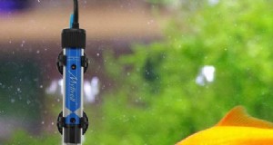 Att välja rätt varmvattenberedare för Aquaponics:En praktisk guide 