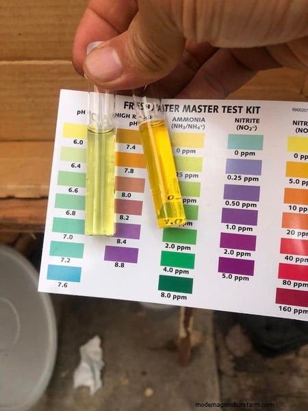 Deskundige gids voor het beheer van water in aquaponics-systemen 