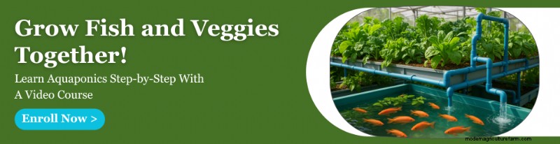 De ultieme gids voor het kiezen van kweeklampen voor aquaponics-systemen binnenshuis