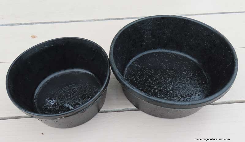 鶏小屋を掃除して鶏の健康を守るための総合ガイド 
