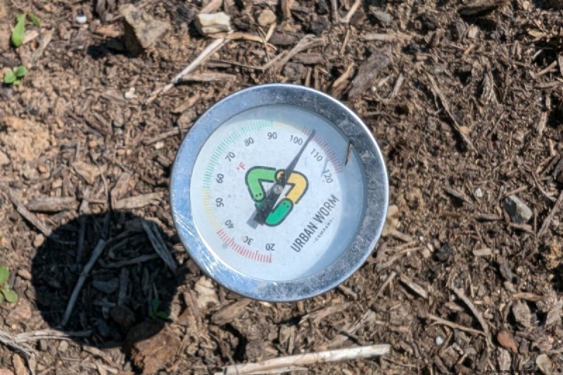 熱波に直面していますか?トマトの苗木に実証済みのサバイバルキットを装備しましょう 