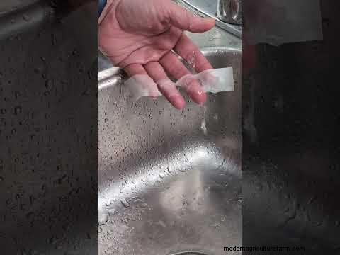 Waarom Seed Tape tekortschiet – Maak kennis met de wateroplosbare oplossing die dit probleem oplost 
