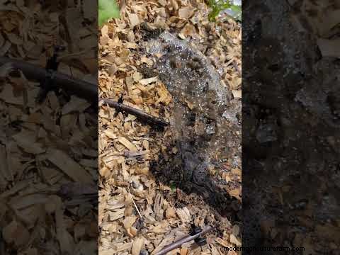 Waarom Seed Tape tekortschiet – Maak kennis met de wateroplosbare oplossing die dit probleem oplost 