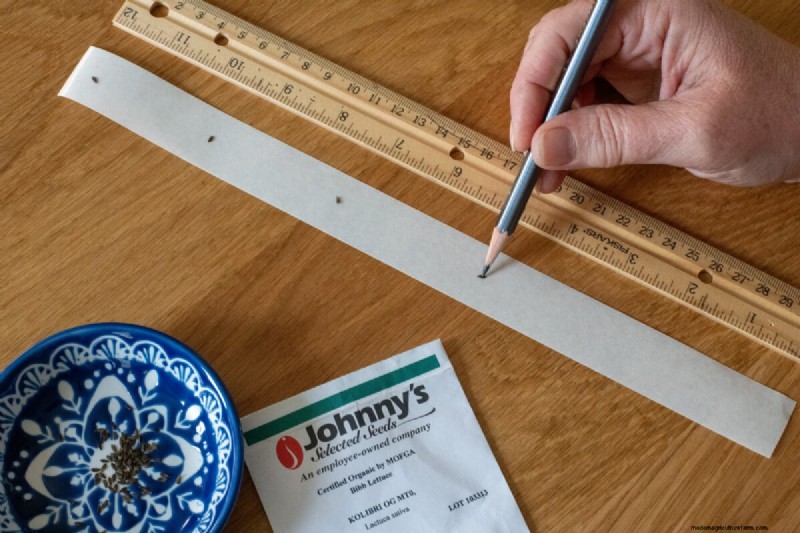Waarom Seed Tape tekortschiet – Maak kennis met de wateroplosbare oplossing die dit probleem oplost 