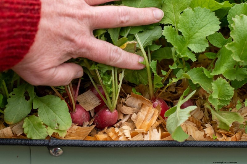 7 tâches de fin de printemps pour simplifier votre jardin d’été 