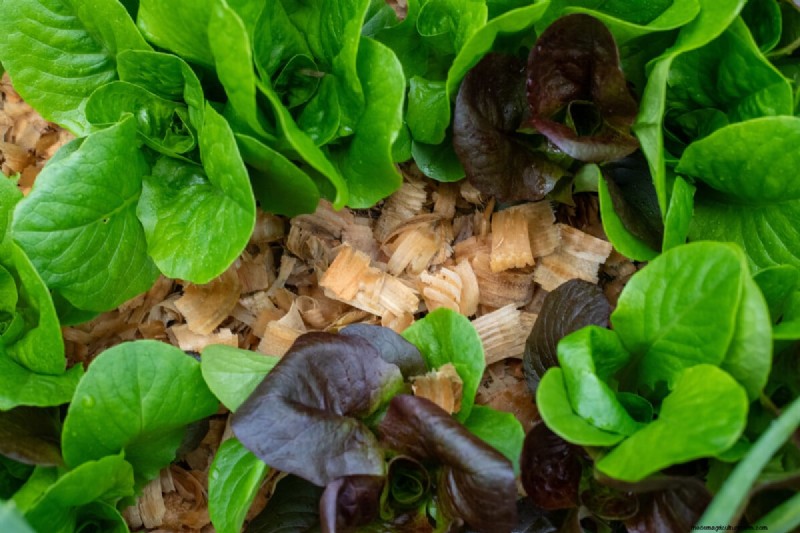 7 tâches de fin de printemps pour simplifier votre jardin d’été 