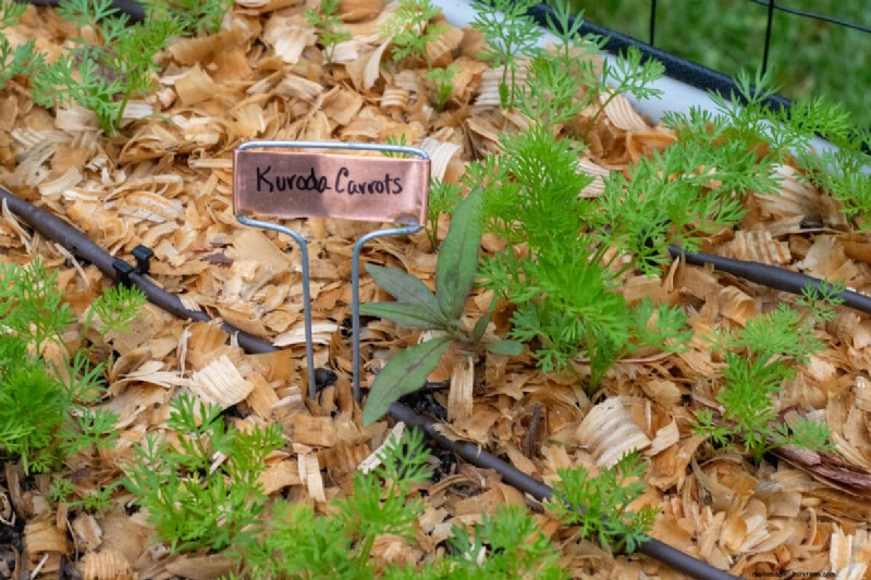 7 tâches de fin de printemps pour simplifier votre jardin d’été 