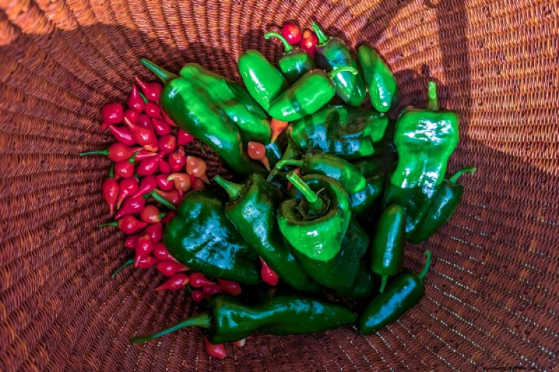 Maîtrisez trois règles éprouvées pour cultiver des poivrons impeccables et savoureux à chaque fois 