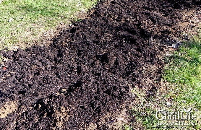 Comment les mauvaises herbes du jardin révèlent la santé de votre sol 