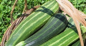 De complete gids voor het kweken van courgette:tips van experts voor een overvloedige zomeroogst 