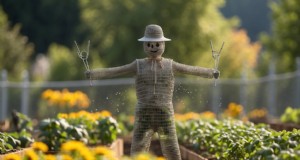 Beveilig uw verhoogde tuinbedden:tips van experts om dieren buiten te houden en uw oogst te behouden 