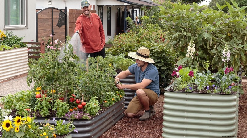 Hur man startar en sommarmatträdgård:från planering till skörd 