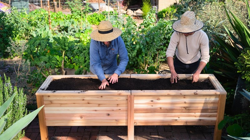 Hur man startar en sommarmatträdgård:från planering till skörd 